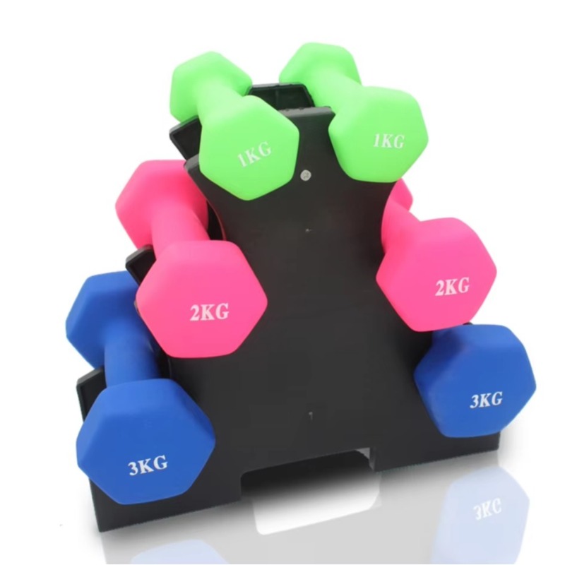 Home Gym Weight - Suporte de Armazenamento de Halteres de