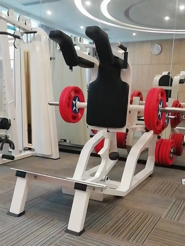 Máquina de agachamento de hack - Home Gym Quad avaliação e preço