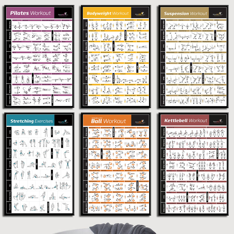 Gráfico de treinamento de trei - Home Gym York avaliação e preço