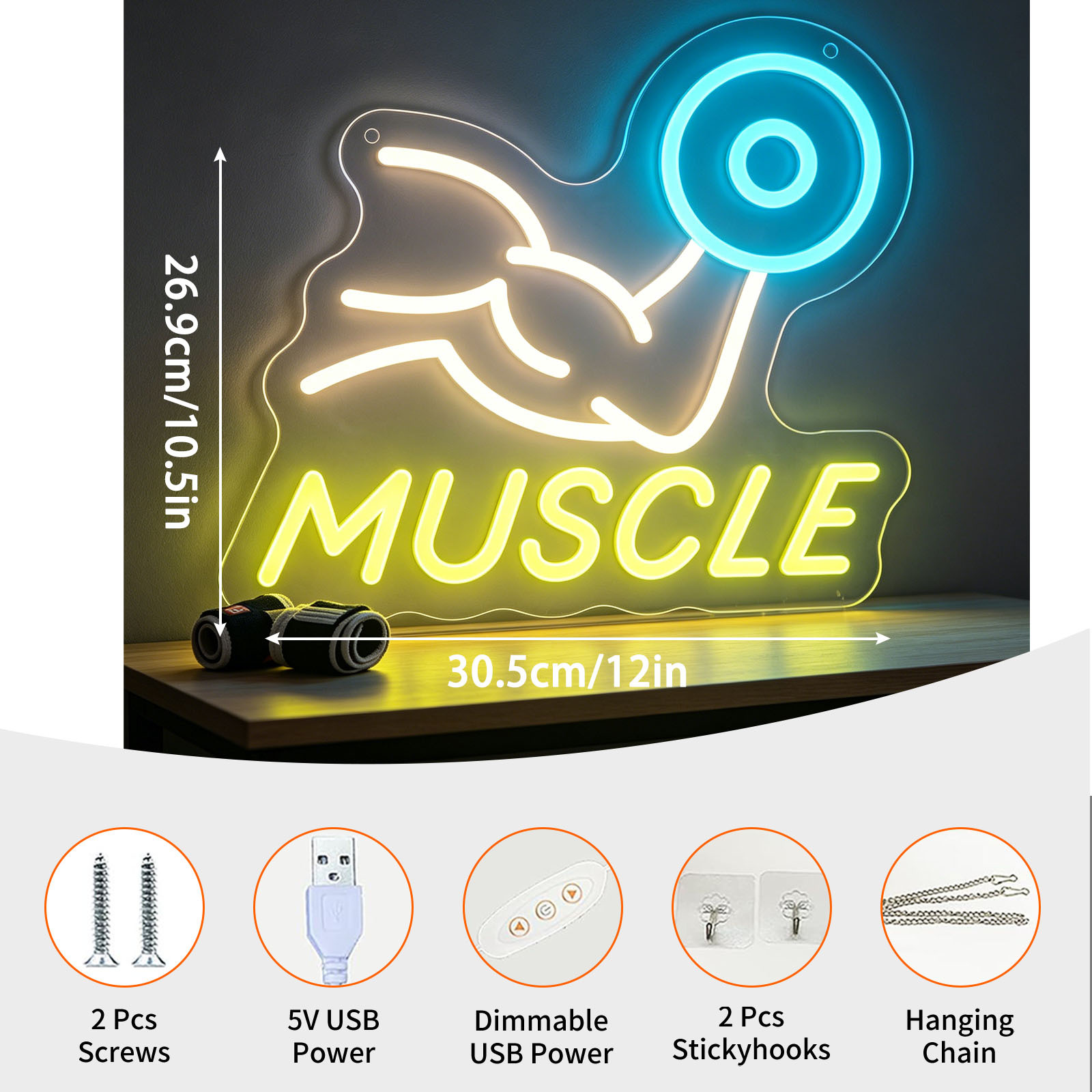Letreiro de Neon LED USB Regul - Home Gym Neon Sign avaliação e preço